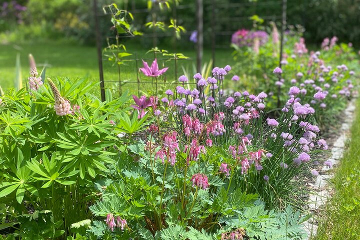 Gardens Of Portsmouth Walking Tour - thumb 4