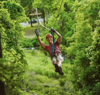 Zipline Canopy Tour in Branson - Accommodation New York