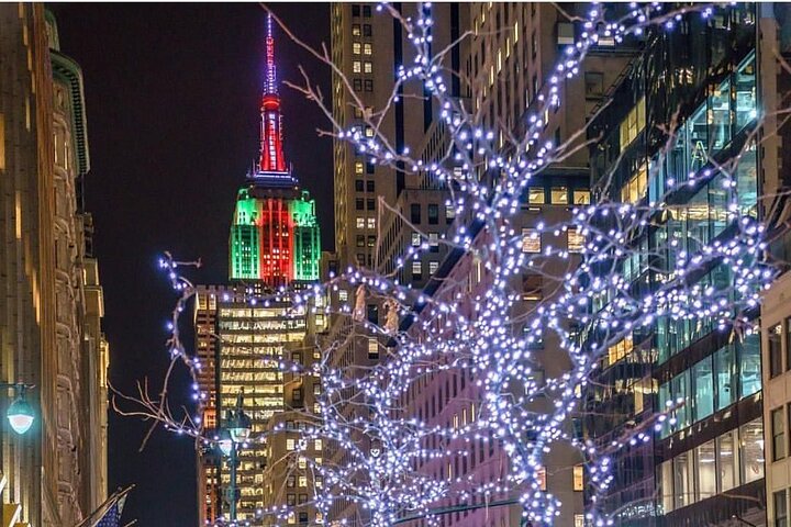 NYC Christmas Lights Special Horse Carriage Ride - thumb 0