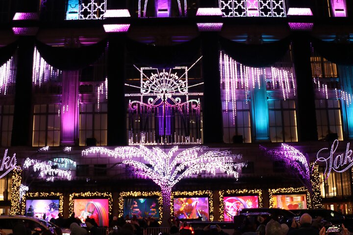 NYC Christmas Lights Special Horse Carriage Ride - thumb 3