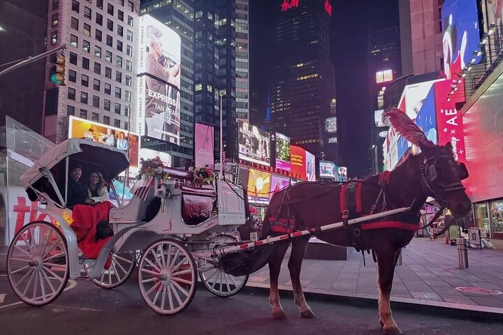 NYC Central Park&Rockefeller Center&Times Square Horse Carriage Private Tour - thumb 3