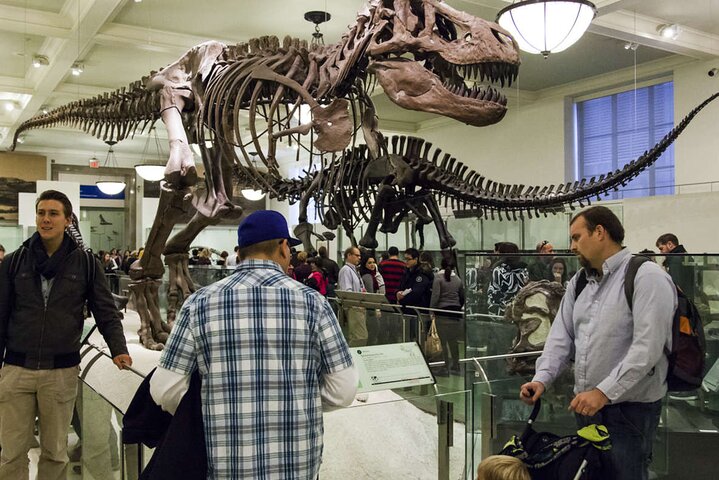NYC American Museum Of Natural History Private Family Tour - thumb 5