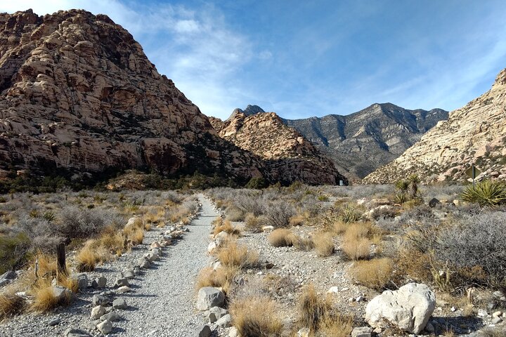 Red Rock Canyon & Mount Charleston Photo Expedition From Las Vegas - thumb 0