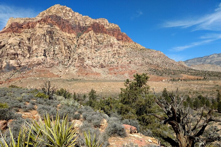 Red Rock Canyon & Mount Charleston Photo Expedition From Las Vegas - thumb 2