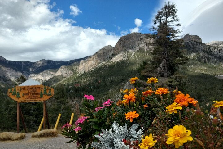 Red Rock Canyon & Mount Charleston Photo Expedition From Las Vegas - thumb 3