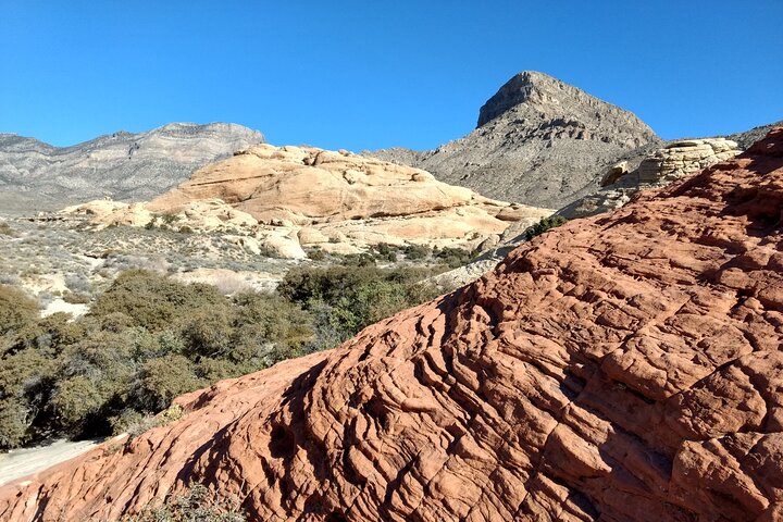 Red Rock Canyon & Mount Charleston Photo Expedition From Las Vegas - thumb 5