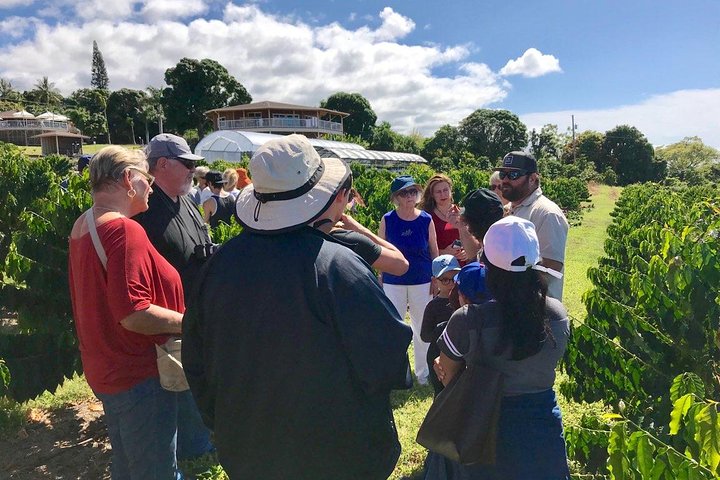 Ultimate Circle Island Explorer From Kona Or Kohala Resorts - thumb 2