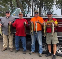 Lake Erie Walleye Fishing Charters - Accommodation New York