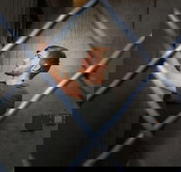 Chattanooga Secret Agent Escape Room Admission Ticket - Accommodation New York