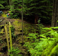 Sea Kayak and Mountain Bike Adventure near Olympic National Park - Accommodation New York