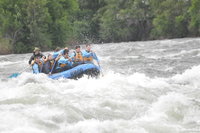 Amboy Wa Accommodation New York