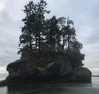 Olympic National Park Tour from Seattle - Accommodation New York