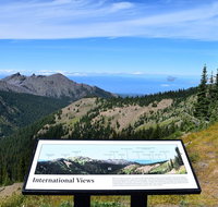 Hurricane Ridge Guided Tour in Olympic National Park - Accommodation New York