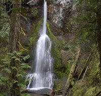 Lake Crescent and Marymere Falls Guided Tour in Olympic National Park - Accommodation New York
