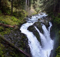 Sol Duc Falls Guided Tour in Olympic National Park - Accommodation New York