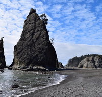 Hoh Rain Forest and Rialto Beach Guided Tour in Olympic National Park - Accommodation New York