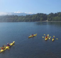 Half-Day Sea Kayaking Trip Near Olympic National Park - Accommodation New York