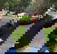 Fun City Scavenger Hunt in Madison by Wacky Walks - Accommodation New York