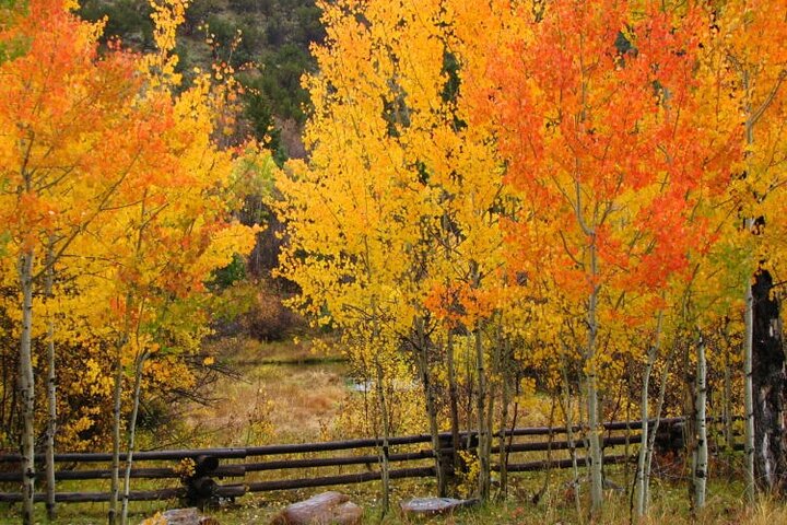 Idaho Tetons And Mesa Falls Full-Day Private BoutiqueTour - thumb 0