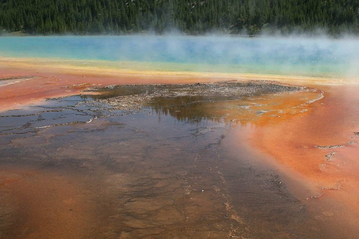 Yellowstone National Park - Full-Day Lower Loop Tour From Jackson Hole - thumb 5