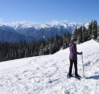 Hurricane Ridge Guided Snowshoe Tour in Olympic National Park - Accommodation New York