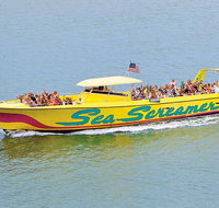 Sea Screamer Boat Cruise in Clearwater Beach with Transport - Accommodation New York