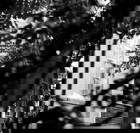 Genteel and Bard's Savannah Dark History and Ghost Walking Tour - Accommodation New York