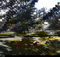 Yoga in Forsyth Park - Accommodation New York