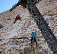 Beginner Group Rock Climbing in Joshua Tree National Park - Accommodation New York