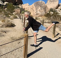 Magical Joshua Tree Hidden Valley Scavenger Hunt - Accommodation New York