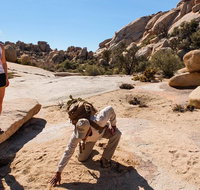 Joshua Tree National Park Customized Guided Hiking Tour - Accommodation New York