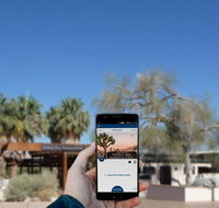 Joshua Tree National Park Self-Driving Audio Tour - Accommodation New York