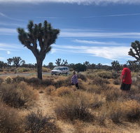 Joshua Tree National Park Driving Tour - Accommodation New York