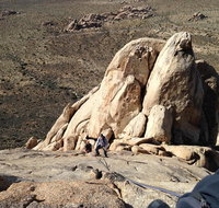 Rock Climbing Trips in Joshua Tree National Park 8 Hours - Accommodation New York