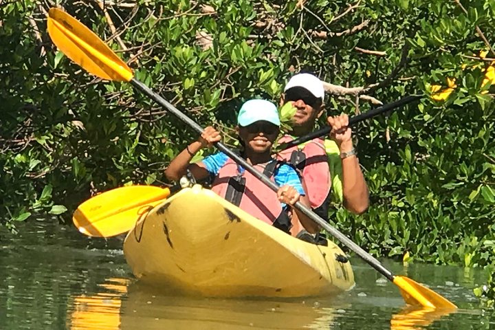Marco Island  Boating Kayak  Walking Eco-Tour