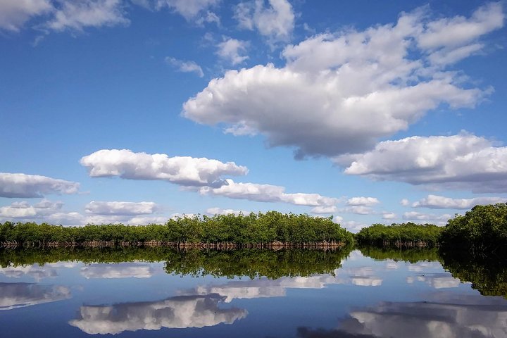 Kayak the Everglades Forest and Marsh Prairies