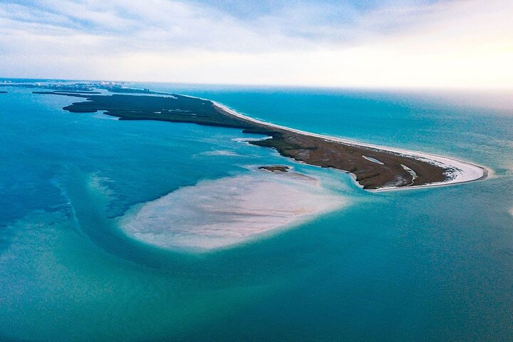 Private Island and Dolphin Boat Tour from Palm Harbor