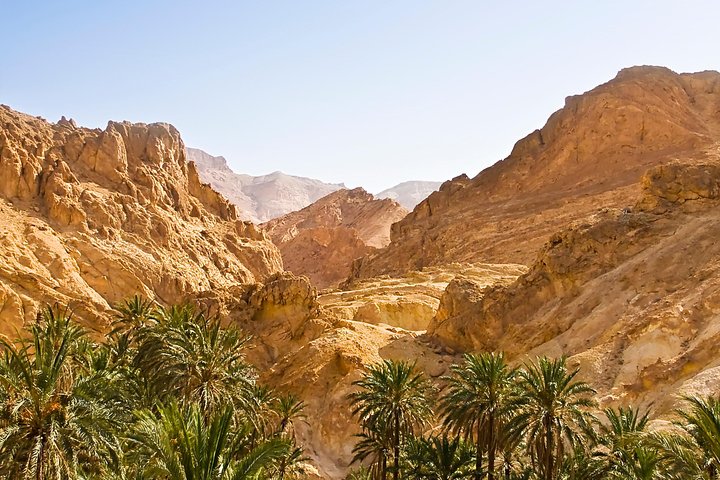 Indian Canyons Walking Tour By Jeep From Palm Springs - thumb 3