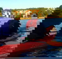 Dolphins and Wildlife Kayak Experience from Gulf Shores - Accommodation New York