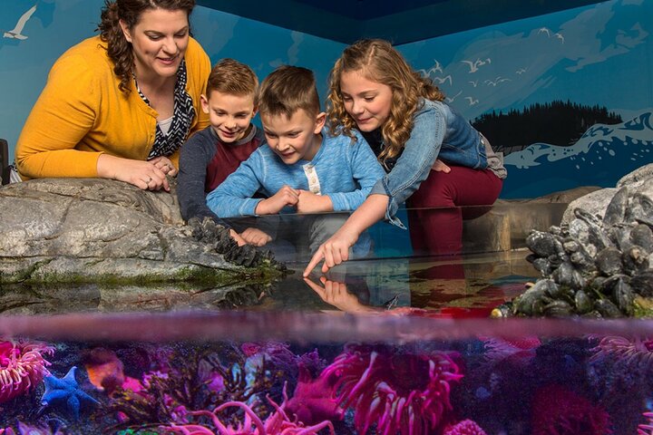 SEA LIFE Orlando Aquarium - thumb 0