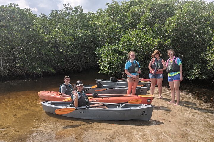Manatees and Mangrove Tunnels Small Group Kayak Tour